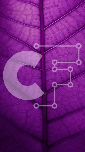 Intra Συλλεκτικό Ξύλινο Παζλ Plywood  4mm - Κοντινή όψη ενός μωβ φύλλου με περίπλοκα σχέδια Σε Ξύλινο Κουτί - Διαστάσεις: 10x10 cm – 25 κομμάτια