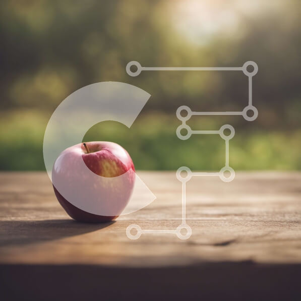 2imZRRT3VXu0px5O7nk2qRjVjF7-desktop