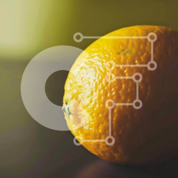 Intra Συλλεκτικό Ξύλινο Παζλ Plywood  4mm - Φρέσκο ​​πορτοκαλί σε ένα τραπέζι με σκούρο φόντο Σε Ξύλινο Κουτί - Διαστάσεις: 10x10 cm – 25 κομμάτια - Image 1