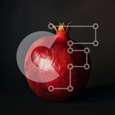 Intra Συλλεκτικό Ξύλινο Παζλ Plywood  4mm - Κόκκινο ρόδι σε μαύρο φόντο Σε Ξύλινο Κουτί - Διαστάσεις: 10x10 cm – 25 κομμάτια - Image 1