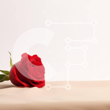 Intra Συλλεκτικό Ξύλινο Παζλ Plywood  4mm - Μονό κόκκινο τριαντάφυλλο σε λευκό τραπέζι Σε Ξύλινο Κουτί - Διαστάσεις: 10x10 cm – 25 κομμάτια - Image 1