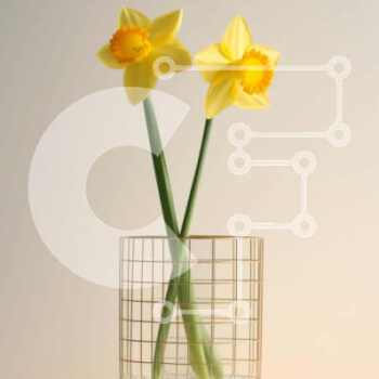 Intra Συλλεκτικό Ξύλινο Παζλ Plywood  4mm - Φρέσκοι και ζωντανοί κίτρινοι ασφόδελοι σε μεταλλικό βάζο Σε Ξύλινο Κουτί - Διαστάσεις: 10x10 cm – 25 κομμάτια - Image 1