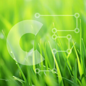 Intra Συλλεκτικό Ξύλινο Παζλ Plywood  4mm - Φρεσκοκομμένο πράσινο γρασίδι με σταγονίδια νερού Σε Ξύλινο Κουτί - Διαστάσεις: 10x10 cm – 25 κομμάτια