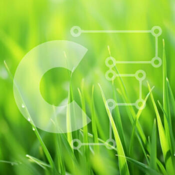 Intra Συλλεκτικό Ξύλινο Παζλ Plywood  4mm - Φρεσκοκομμένο πράσινο γρασίδι με σταγονίδια νερού Σε Ξύλινο Κουτί - Διαστάσεις: 10x10 cm – 25 κομμάτια - Image 1