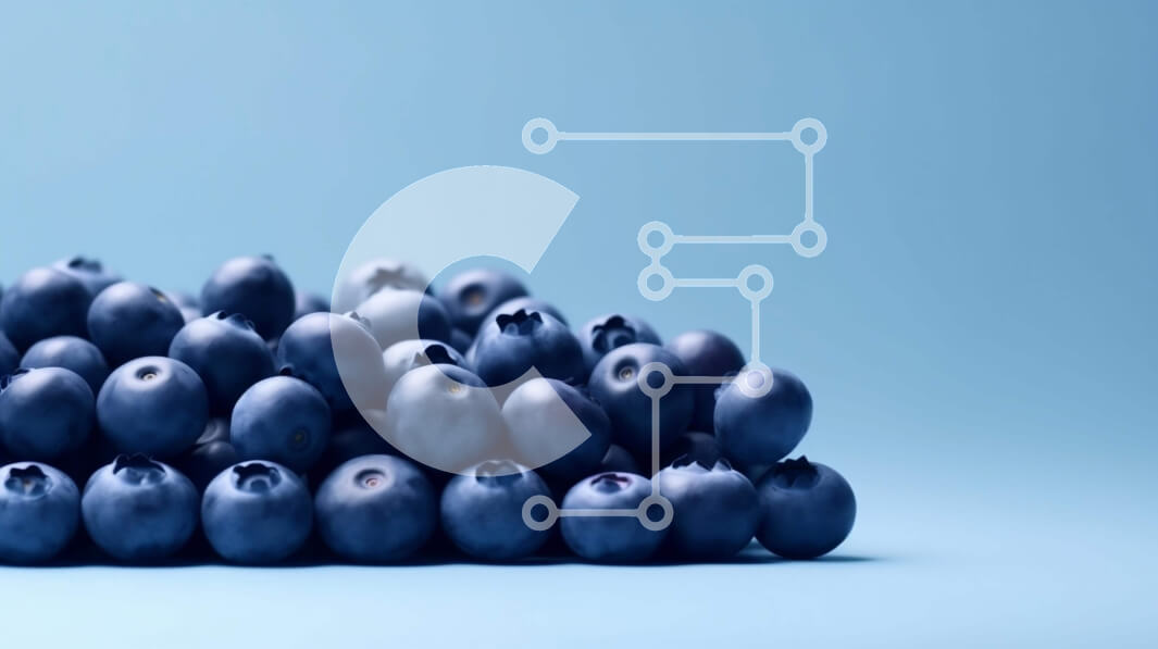 Intra Συλλεκτικό Ξύλινο Παζλ Plywood  4mm - Σωρός βακκίνια - φρέσκα και υγιεινά Σε Ξύλινο Κουτί - Διαστάσεις: 10x10 cm – 25 κομμάτια