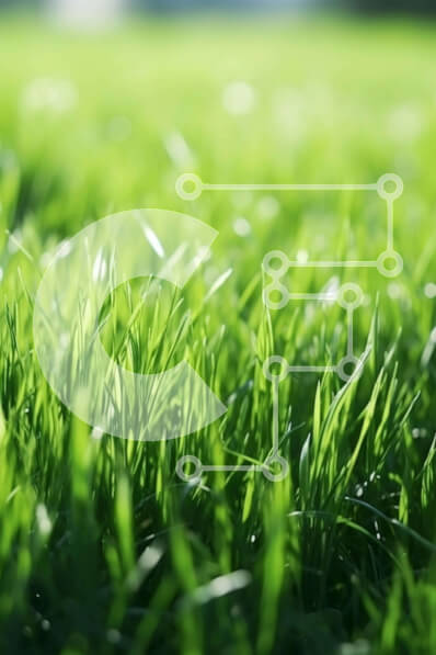 Intra Συλλεκτικό Ξύλινο Παζλ Plywood  4mm - Πράσινο χωράφι με γρασίδι με το φως του ήλιου Σε Ξύλινο Κουτί - Διαστάσεις: 10x10 cm – 25 κομμάτια