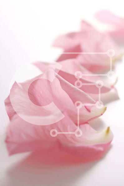 Intra Συλλεκτικό Ξύλινο Παζλ Plywood  4mm - Ροζ πέταλα σε λευκή επιφάνεια Σε Ξύλινο Κουτί - Διαστάσεις: 10x10 cm – 25 κομμάτια