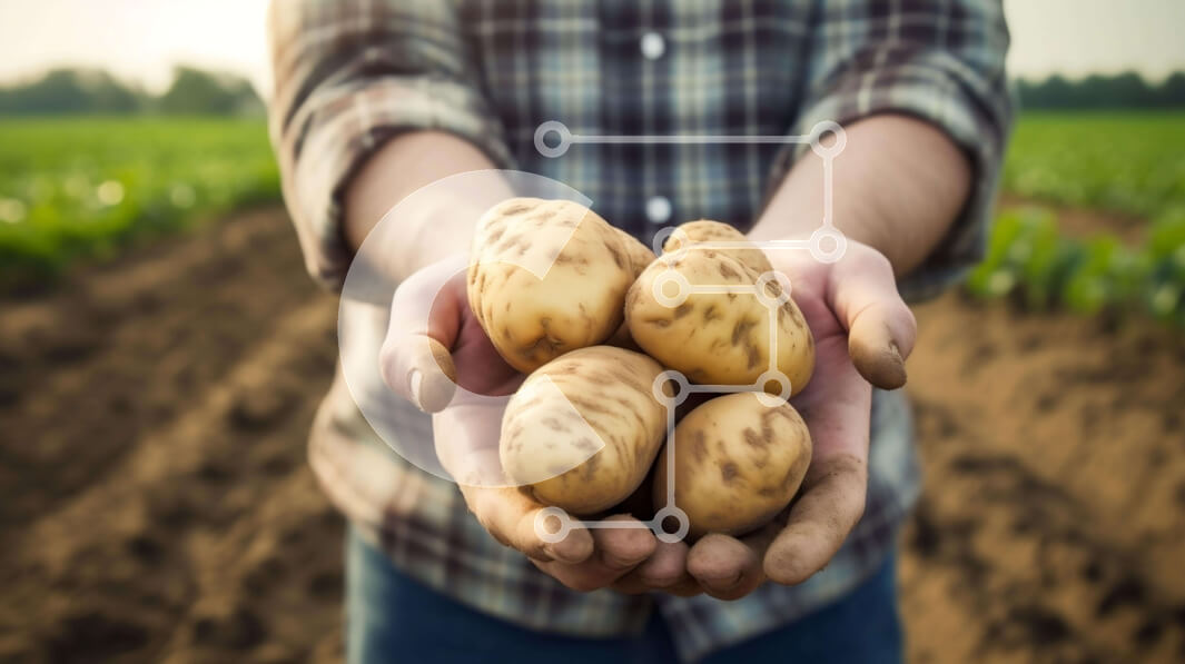 Intra Συλλεκτικό Ξύλινο Παζλ Plywood  4mm - Άτομο που κρατά φρέσκες πατάτες στα χέρια του Σε Ξύλινο Κουτί - Διαστάσεις: 10x10 cm – 25 κομμάτια