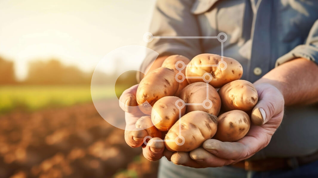 Intra Συλλεκτικό Ξύλινο Παζλ Plywood  4mm - Άνθρωπος που συγκομίζει πατάτες από το χωράφι Σε Ξύλινο Κουτί - Διαστάσεις: 10x10 cm – 25 κομμάτια