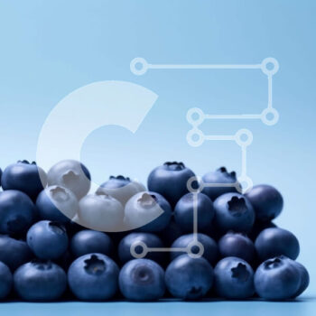 Intra Συλλεκτικό Ξύλινο Παζλ Plywood  4mm - Φρέσκος σωρός από βατόμουρα Σε Ξύλινο Κουτί - Διαστάσεις: 10x10 cm – 25 κομμάτια - Image 1