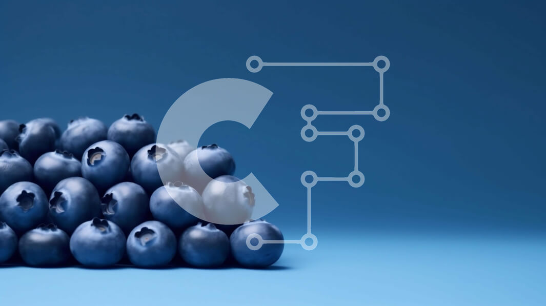 Intra Συλλεκτικό Ξύλινο Παζλ Plywood  4mm - Σωρός βατόμουρα με κενό χώρο στη μέση Σε Ξύλινο Κουτί - Διαστάσεις: 10x10 cm – 25 κομμάτια