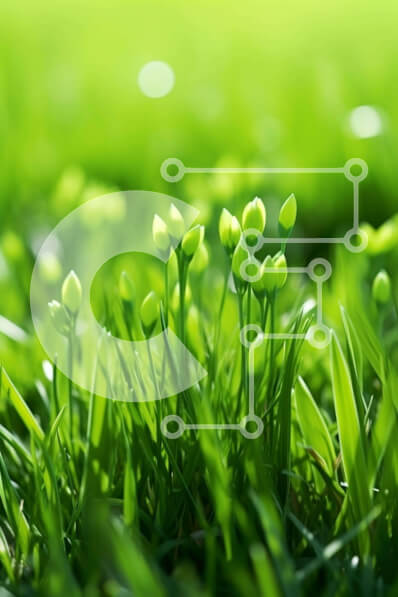 Intra Συλλεκτικό Ξύλινο Παζλ Plywood  4mm - Πράσινο χωράφι με μικρά χόρτα Σε Ξύλινο Κουτί - Διαστάσεις: 10x10 cm – 25 κομμάτια