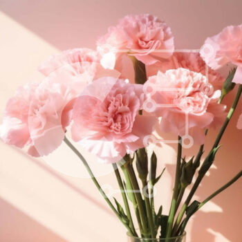 Intra Συλλεκτικό Ξύλινο Παζλ Plywood  4mm - Ροζ γαρύφαλλα σε βάζο στο τραπέζι Σε Ξύλινο Κουτί - Διαστάσεις: 10x10 cm – 25 κομμάτια - Image 1