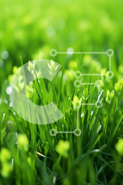 Intra Συλλεκτικό Ξύλινο Παζλ Plywood  4mm - Κοντινό πλάνο του πράσινου πεδίου με χόρτα Σε Ξύλινο Κουτί - Διαστάσεις: 10x10 cm – 25 κομμάτια