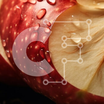 Intra Συλλεκτικό Ξύλινο Παζλ Plywood  4mm - Φρέσκο ​​μήλο με σταγόνες νερού και κομμένα κομμάτια Σε Ξύλινο Κουτί - Διαστάσεις: 10x10 cm – 25 κομμάτια - Image 1