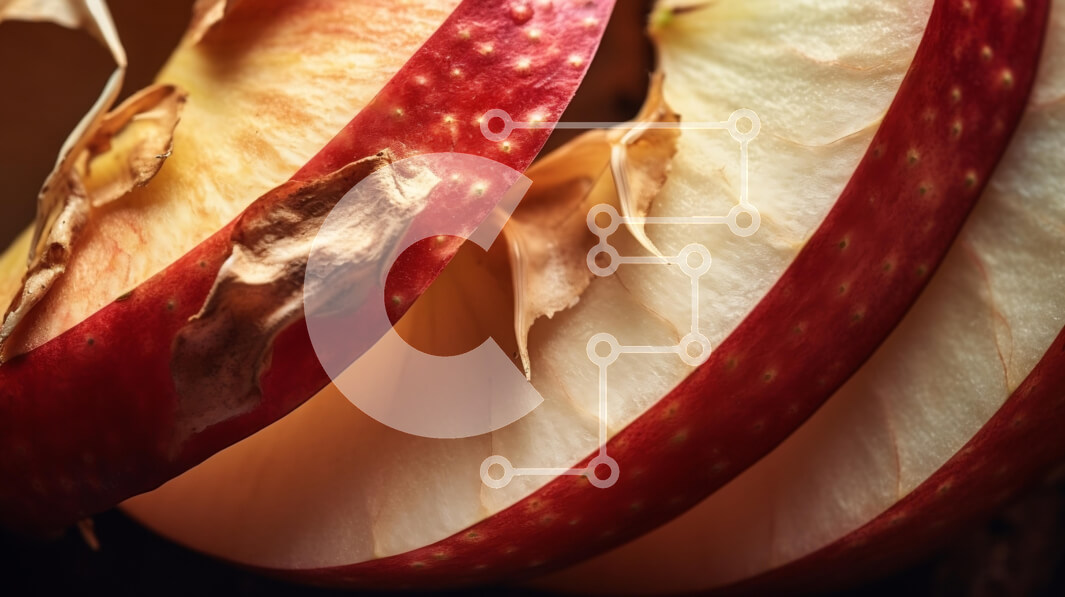 Intra Συλλεκτικό Ξύλινο Παζλ Plywood  4mm - Κοντινό πλάνο πολύχρωμες φέτες μήλου με αποξηραμένα φύλλα Σε Ξύλινο Κουτί - Διαστάσεις: 10x10 cm – 25 κομμάτια