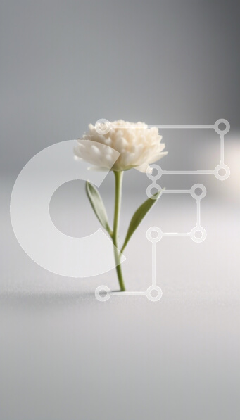 2kN118e1GGexHApxl5tf3Ed6nYu-desktop