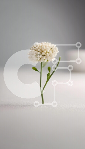 2kN18LDAvBwimvNWqDNFPyCSkb4-desktop