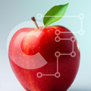 Intra Συλλεκτικό Ξύλινο Παζλ Plywood  4mm - Φρέσκο ​​κόκκινο μήλο με φύλλο Σε Ξύλινο Κουτί - Διαστάσεις: 10x10 cm – 25 κομμάτια - Image 1