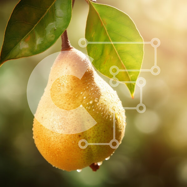 2m0oz0ii1KeHWBYJ17KWjDDHOlw-desktop