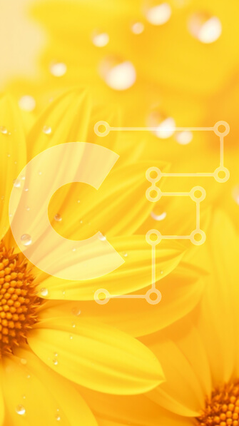 Intra Συλλεκτικό Ξύλινο Παζλ Plywood  4mm - Κοντινό πλάνο κίτρινων λουλουδιών με σταγονίδια νερού Σε Ξύλινο Κουτί - Διαστάσεις: 10x10 cm – 25 κομμάτια