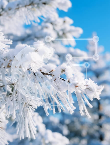 Intra Συλλεκτικό Ξύλινο Παζλ Plywood  4mm - Χιονισμένα κλαδιά πεύκου κάτω από το γαλάζιο του ουρανού Σε Ξύλινο Κουτί - Διαστάσεις: 10x10 cm – 25 κομμάτια