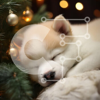 Intra Συλλεκτικό Ξύλινο Παζλ Plywood  4mm - Sleeping Puppy δίπλα στο χριστουγεννιάτικο δέντρο Σε Ξύλινο Κουτί - Διαστάσεις: 10x10 cm – 25 κομμάτια - Image 1