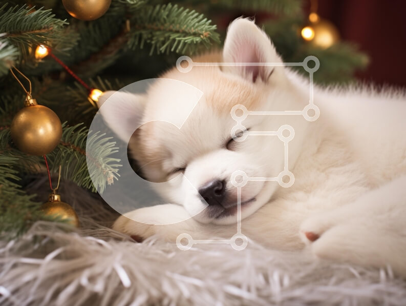 Intra Συλλεκτικό Ξύλινο Παζλ Plywood  4mm - Κουτάβι που κοιμάται κάτω από το χριστουγεννιάτικο δέντρο Σε Ξύλινο Κουτί - Διαστάσεις: 10x10 cm – 25 κομμάτια