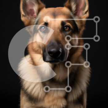 Intra Συλλεκτικό Ξύλινο Παζλ Plywood  4mm - Majestic Dog Portrait Σε Ξύλινο Κουτί - Διαστάσεις: 10x10 cm – 25 κομμάτια - Image 1