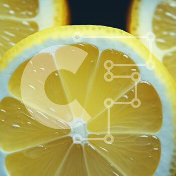 Intra Συλλεκτικό Ξύλινο Παζλ Plywood  4mm - Φρέσκες φέτες λεμονιού Σε Ξύλινο Κουτί - Διαστάσεις: 10x10 cm – 25 κομμάτια - Image 1