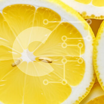 Intra Συλλεκτικό Ξύλινο Παζλ Plywood  4mm - Φρέσκες φέτες λεμονιού Σε Ξύλινο Κουτί - Διαστάσεις: 10x10 cm – 25 κομμάτια - Image 1