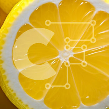 Intra Συλλεκτικό Ξύλινο Παζλ Plywood  4mm - Φρέσκες φέτες λεμονιού Σε Ξύλινο Κουτί - Διαστάσεις: 10x10 cm – 25 κομμάτια - Image 1