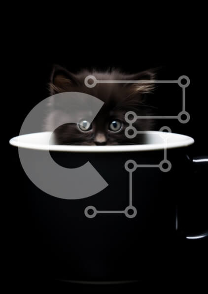 Intra Συλλεκτικό Ξύλινο Παζλ Plywood  4mm - Μαύρο γατάκι σε λευκό κύπελλο Σε Ξύλινο Κουτί - Διαστάσεις: 10x10 cm – 25 κομμάτια