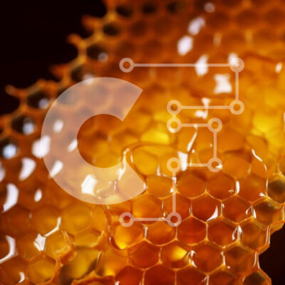 Intra Συλλεκτικό Ξύλινο Παζλ Plywood  4mm - Κινηματογράφηση σε πρώτο πλάνο της κηρήθρας με το μέλι Σε Ξύλινο Κουτί - Διαστάσεις: 10x10 cm – 25 κομμάτια - Image 1