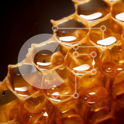 Intra Συλλεκτικό Ξύλινο Παζλ Plywood  4mm - Κοντινό πλάνο της κηρήθρας με το μέλι που στάζει Σε Ξύλινο Κουτί - Διαστάσεις: 10x10 cm – 25 κομμάτια - Image 1