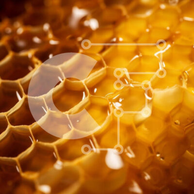 Intra Συλλεκτικό Ξύλινο Παζλ Plywood  4mm - Κοντινό πλάνο της κηρήθρας με μέλι Σε Ξύλινο Κουτί - Διαστάσεις: 10x10 cm – 25 κομμάτια - Image 1