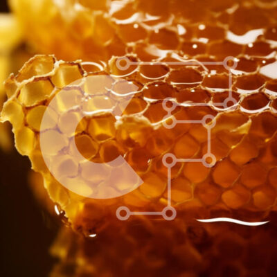 Intra Συλλεκτικό Ξύλινο Παζλ Plywood  4mm - Κινηματογράφηση σε πρώτο πλάνο της κηρήθρας με το μέλι Σε Ξύλινο Κουτί - Διαστάσεις: 10x10 cm – 25 κομμάτια - Image 1