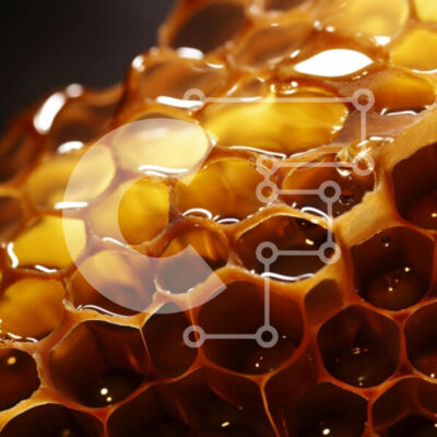 Intra Συλλεκτικό Ξύλινο Παζλ Plywood  4mm - Κινηματογράφηση σε πρώτο πλάνο της κηρήθρας με το μέλι Σε Ξύλινο Κουτί - Διαστάσεις: 10x10 cm – 25 κομμάτια - Image 1