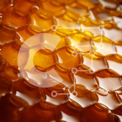 Intra Συλλεκτικό Ξύλινο Παζλ Plywood  4mm - Κινηματογράφηση σε πρώτο πλάνο της κηρήθρας με το μέλι Σε Ξύλινο Κουτί - Διαστάσεις: 10x10 cm – 25 κομμάτια - Image 1