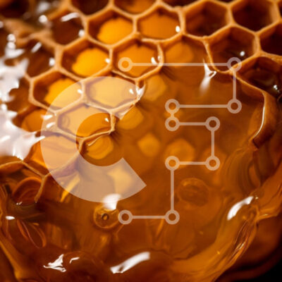 Intra Συλλεκτικό Ξύλινο Παζλ Plywood  4mm - Κινηματογράφηση σε πρώτο πλάνο της κηρήθρας με το μέλι Σε Ξύλινο Κουτί - Διαστάσεις: 10x10 cm – 25 κομμάτια - Image 1