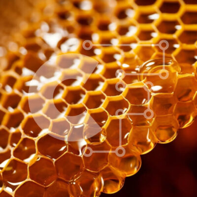 Intra Συλλεκτικό Ξύλινο Παζλ Plywood  4mm - Κοντινό πλάνο της κηρήθρας με μέλι Σε Ξύλινο Κουτί - Διαστάσεις: 10x10 cm – 25 κομμάτια - Image 1