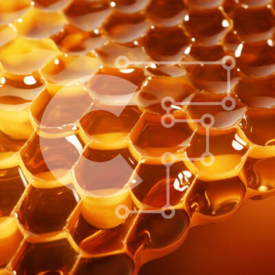 Intra Συλλεκτικό Ξύλινο Παζλ Plywood  4mm - Κινηματογράφηση σε πρώτο πλάνο της κηρήθρας με το μέλι Σε Ξύλινο Κουτί - Διαστάσεις: 10x10 cm – 25 κομμάτια - Image 1