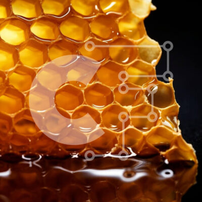 Intra Συλλεκτικό Ξύλινο Παζλ Plywood  4mm - Κινηματογράφηση σε πρώτο πλάνο της κηρήθρας με το μέλι Σε Ξύλινο Κουτί - Διαστάσεις: 10x10 cm – 25 κομμάτια - Image 1