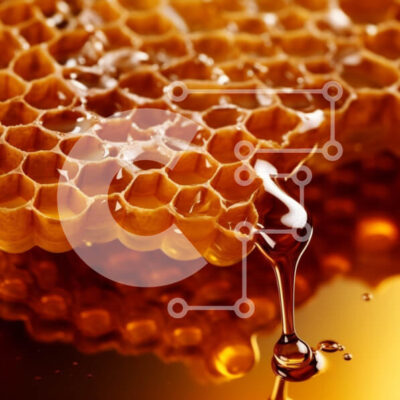 Intra Συλλεκτικό Ξύλινο Παζλ Plywood  4mm - Κοντινό πλάνο της κηρήθρας με το μέλι που στάζει Σε Ξύλινο Κουτί - Διαστάσεις: 10x10 cm – 25 κομμάτια - Image 1