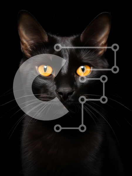 Intra Συλλεκτικό Ξύλινο Παζλ Plywood  4mm - Κοντινό πλάνο πορτρέτο μιας μαύρης γάτας με πορτοκαλί μάτια Σε Ξύλινο Κουτί - Διαστάσεις: 10x10 cm – 25 κομμάτια