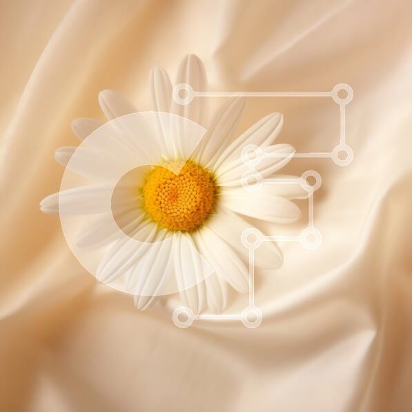 2rwLMd8rk2PatWnzDDafrpOgN1E-desktop