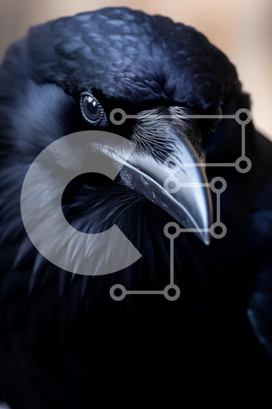 Intra Συλλεκτικό Ξύλινο Παζλ Plywood  4mm - Κοντινό πλάνο ενός κορακιού Σε Ξύλινο Κουτί - Διαστάσεις: 10x10 cm – 25 κομμάτια