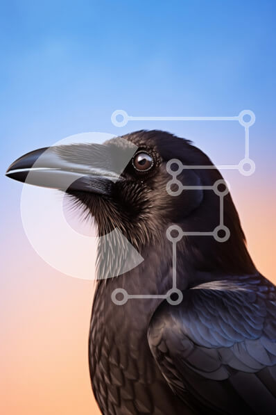 Intra Συλλεκτικό Ξύλινο Παζλ Plywood  4mm - Κοντινό πλάνο ενός κορακιού ενάντια στον ουρανό κλίσης Σε Ξύλινο Κουτί - Διαστάσεις: 10x10 cm – 25 κομμάτια