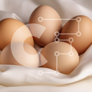 Intra Συλλεκτικό Ξύλινο Παζλ Plywood  4mm - Φωλιασμένα καφέ αυγά σε λευκό ύφασμα Σε Ξύλινο Κουτί - Διαστάσεις: 10x10 cm – 25 κομμάτια - Image 1