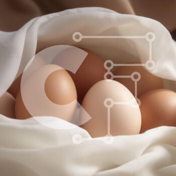 Intra Συλλεκτικό Ξύλινο Παζλ Plywood  4mm - Φωλιασμένα αυγά σε ύφασμα Σε Ξύλινο Κουτί - Διαστάσεις: 10x10 cm – 25 κομμάτια - Image 1